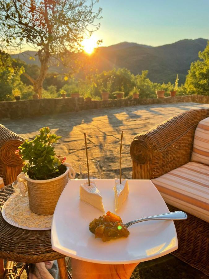 Country Residence Turicchi Londa Dış mekan fotoğraf