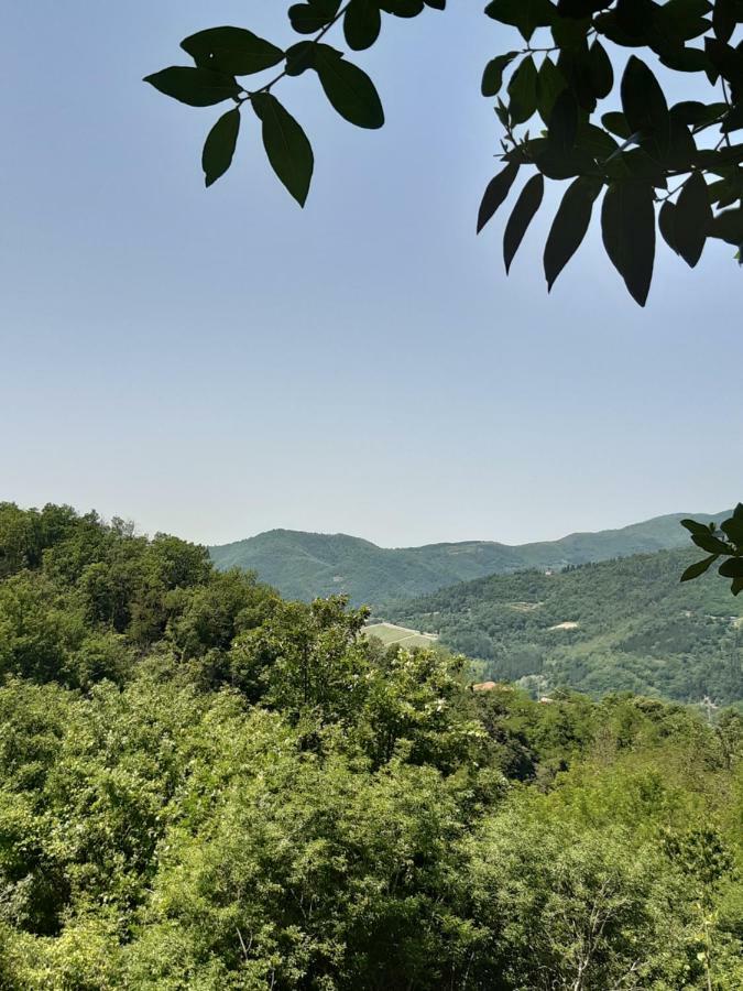 Country Residence Turicchi Londa Dış mekan fotoğraf